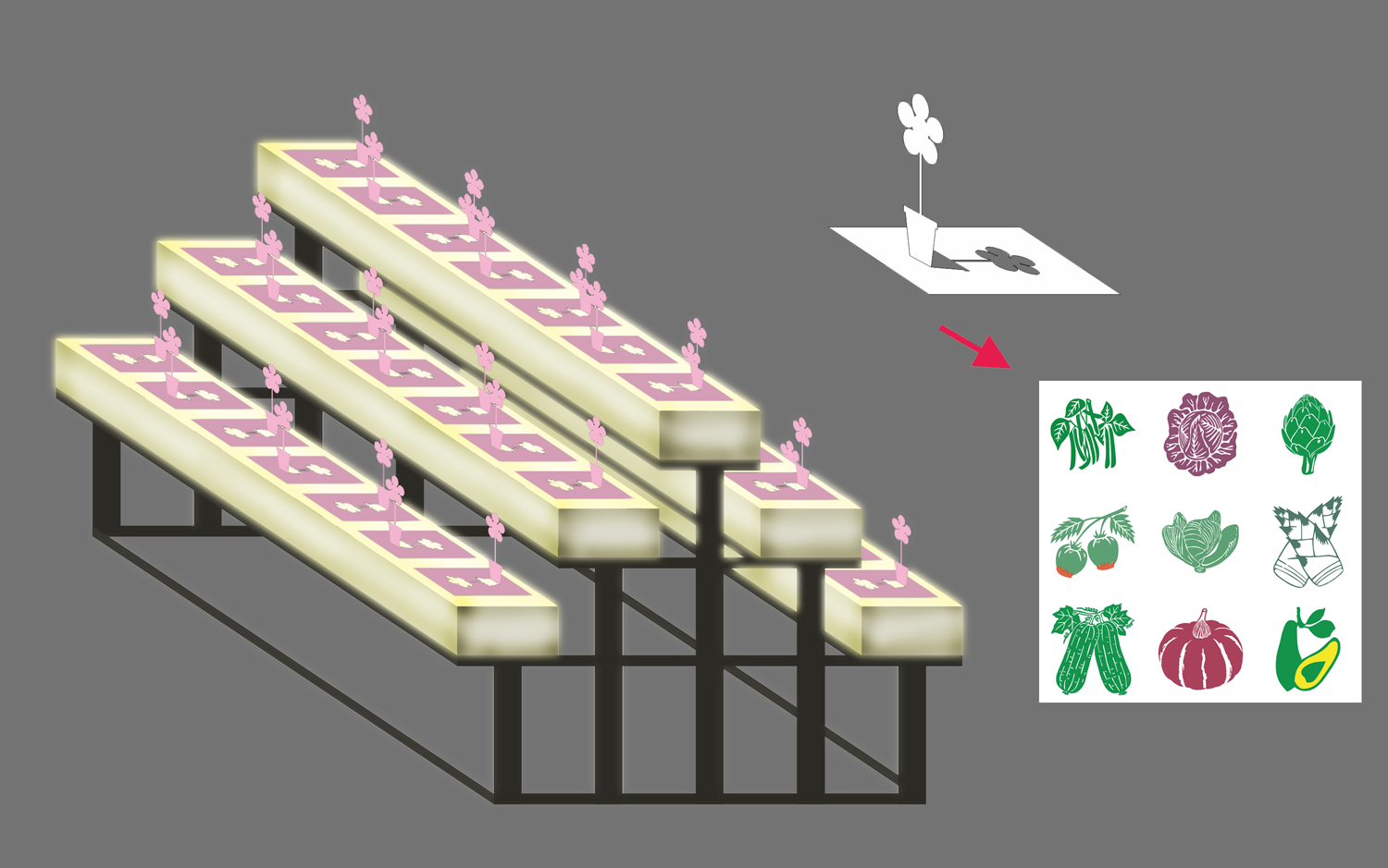 走路草農/藝團《思箱第六感》