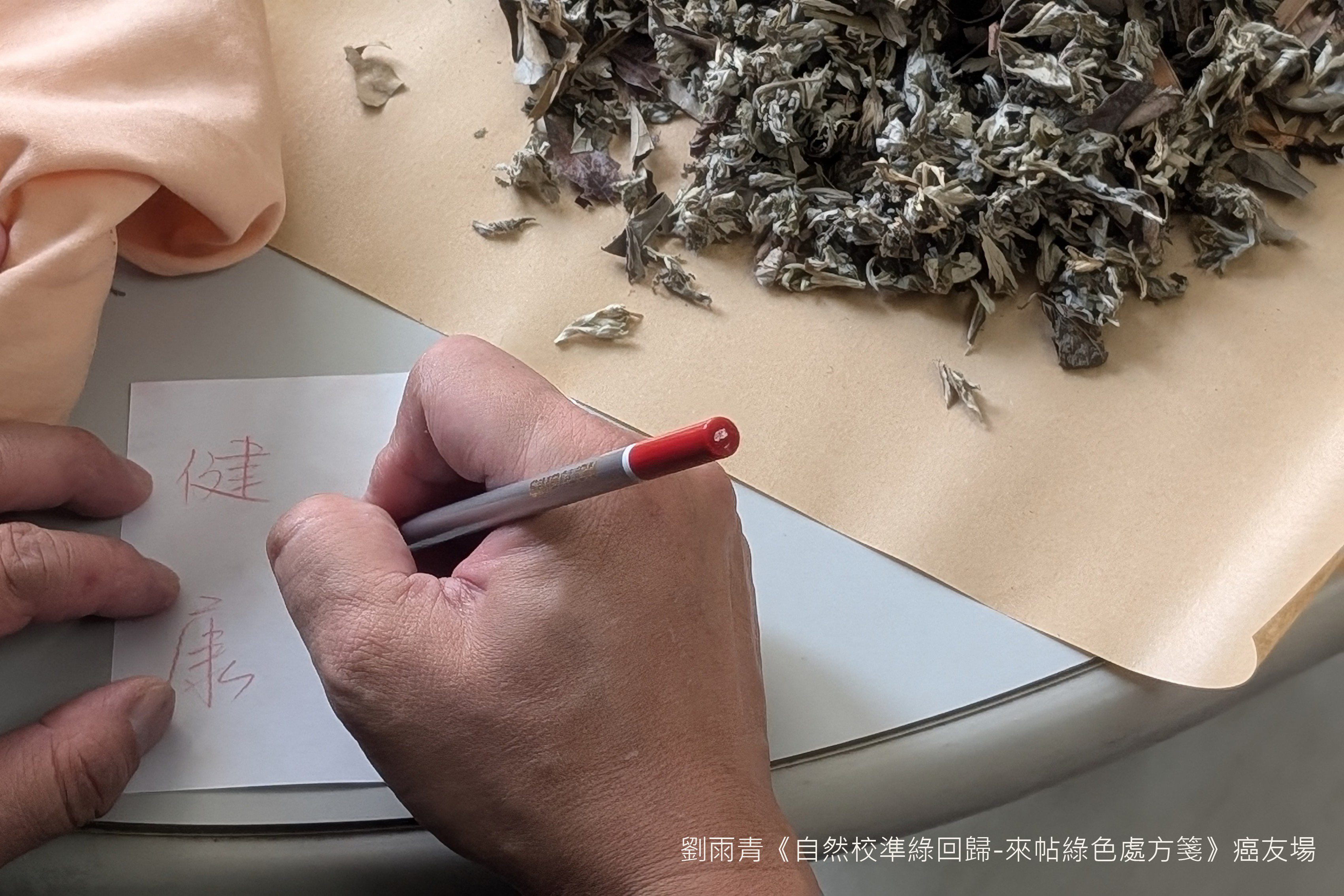 劉雨青《自然校準綠回歸-來帖綠色處方箋》